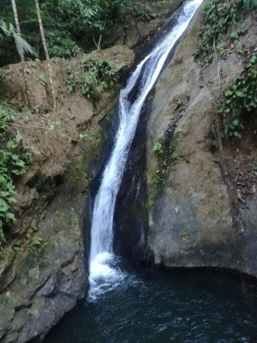 Hospedaje Valencia Osa, Cr Potrero  Kültér fotó