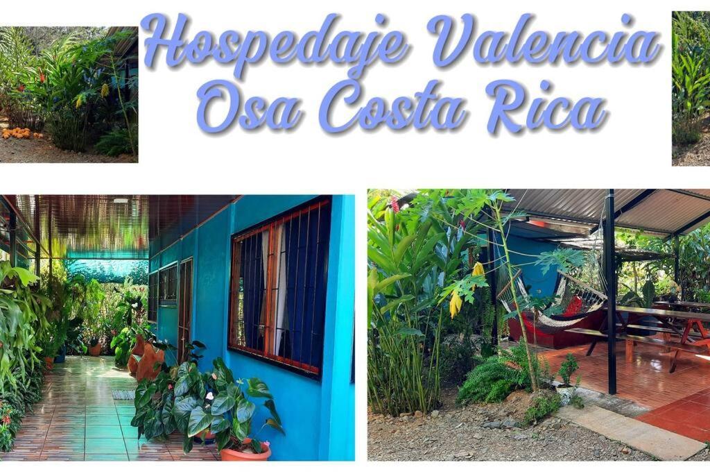 Hospedaje Valencia Osa, Cr Potrero  Kültér fotó