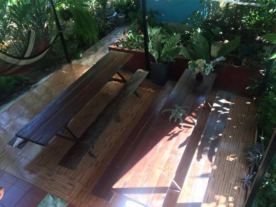 Hospedaje Valencia Osa, Cr Potrero  Kültér fotó