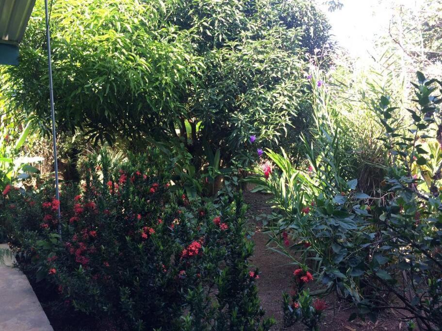 Hospedaje Valencia Osa, Cr Potrero  Kültér fotó