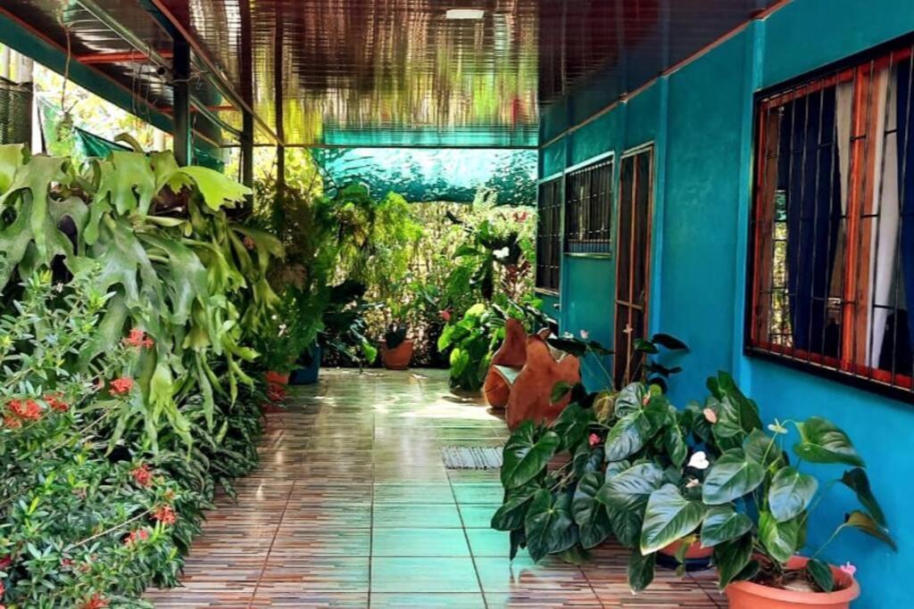 Hospedaje Valencia Osa, Cr Potrero  Kültér fotó