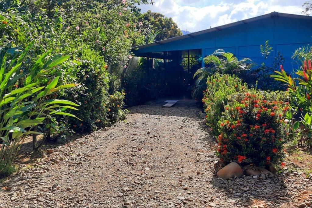 Hospedaje Valencia Osa, Cr Potrero  Kültér fotó