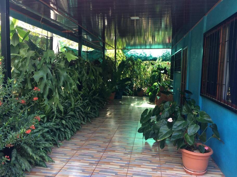Hospedaje Valencia Osa, Cr Potrero  Kültér fotó
