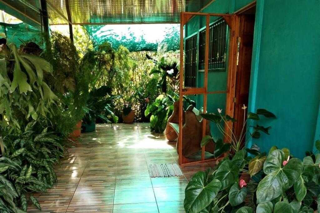 Hospedaje Valencia Osa, Cr Potrero  Kültér fotó